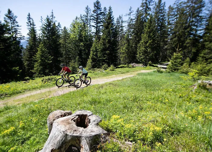 Bei Moser - Boutique *