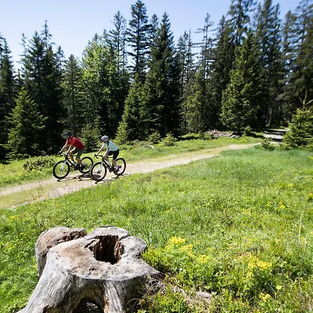 Bei Moser - Boutique *